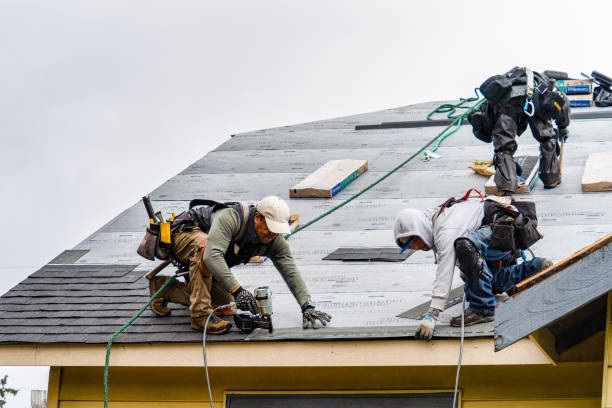 Professional Gutter Installation technician working in Dumont, IA